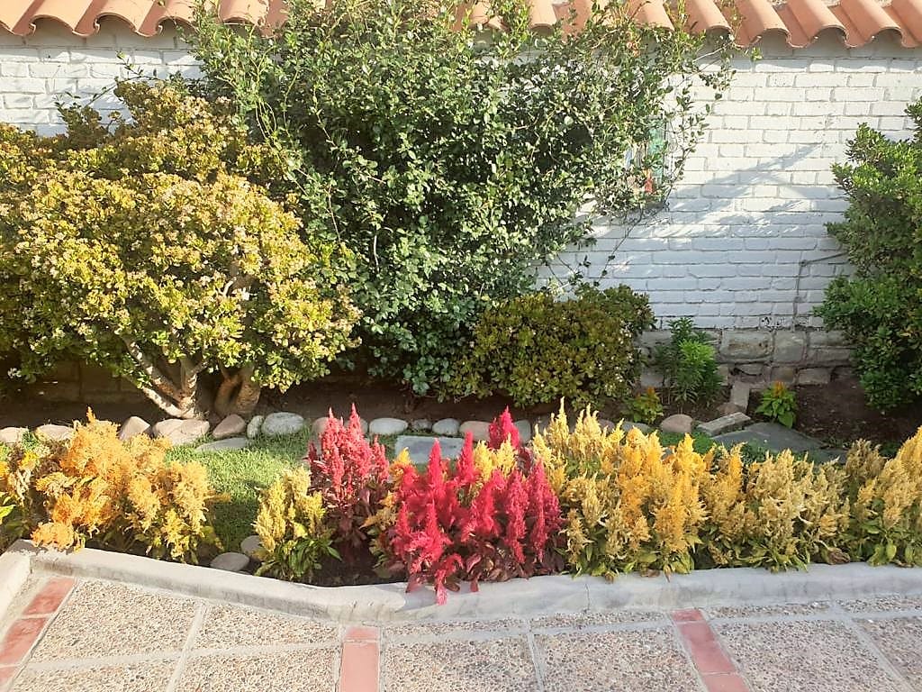 Miniatura del inmueble